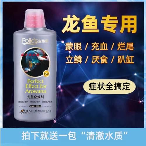 金銀龍魚圖片