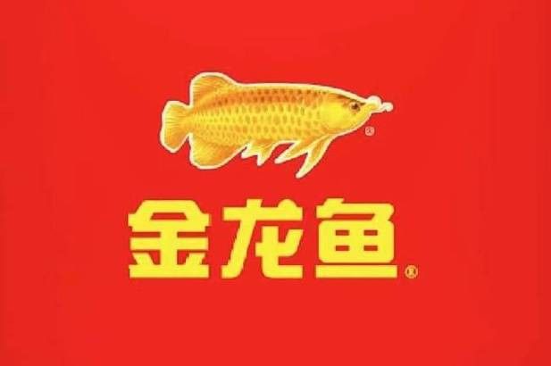 金銀龍魚圖片