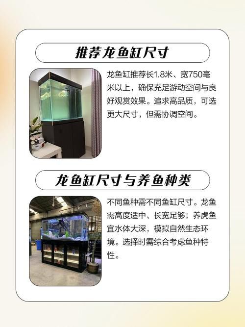 紅龍魚魚缸尺寸圖