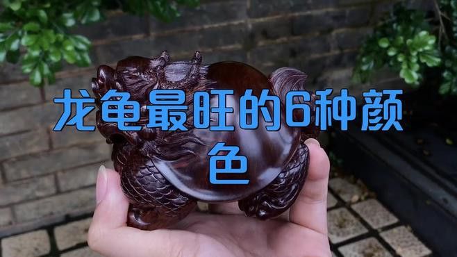 龍龜有哪些材質(zhì)選擇？