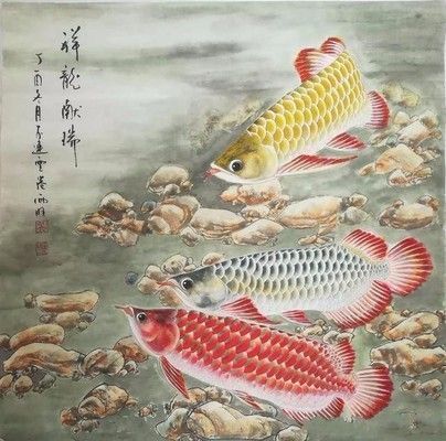 金龍魚國畫作品（張利宏金龍魚國畫作品《金龍魚國畫作品賞析：金龍魚》）