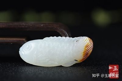 金龍魚國畫作品（張利宏金龍魚國畫作品《金龍魚國畫作品賞析：金龍魚》）