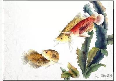 金龍魚國畫作品（張利宏金龍魚國畫作品《金龍魚國畫作品賞析：金龍魚》）