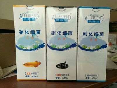 龍魚濾材哪個牌子好一點:魚缸過濾材料十大品牌排行榜 龍魚百科 第1張 龍魚濾材哪個牌子好一點:魚缸過濾材料十大品牌排行榜 龍魚濾材哪個牌子好一點:魚缸過濾材料十大品牌排行榜 龍魚百科 第1張