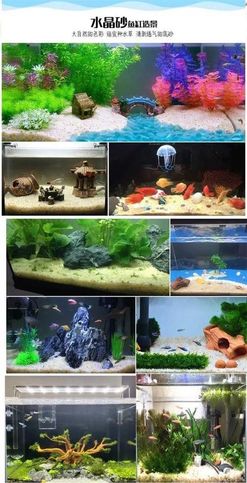 恐龍魚適合草缸嗎圖片