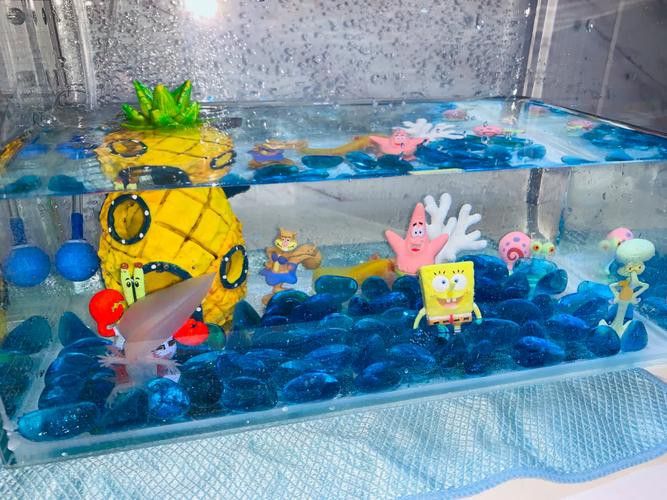 恐龍魚適合草缸嗎圖片