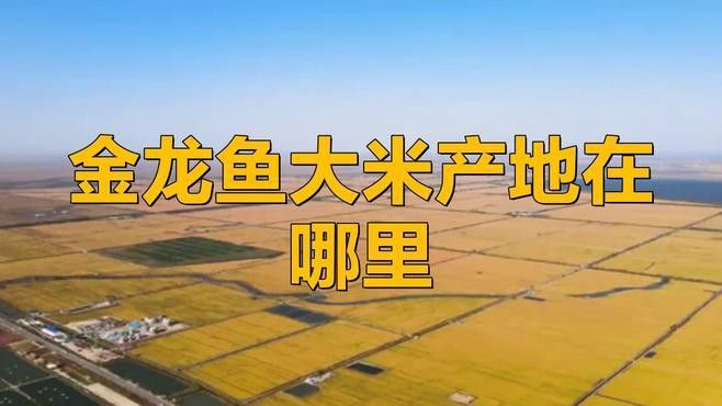 金龍魚(yú)哪產(chǎn)的好吃