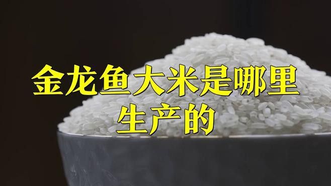 金龍魚(yú)哪產(chǎn)的好吃
