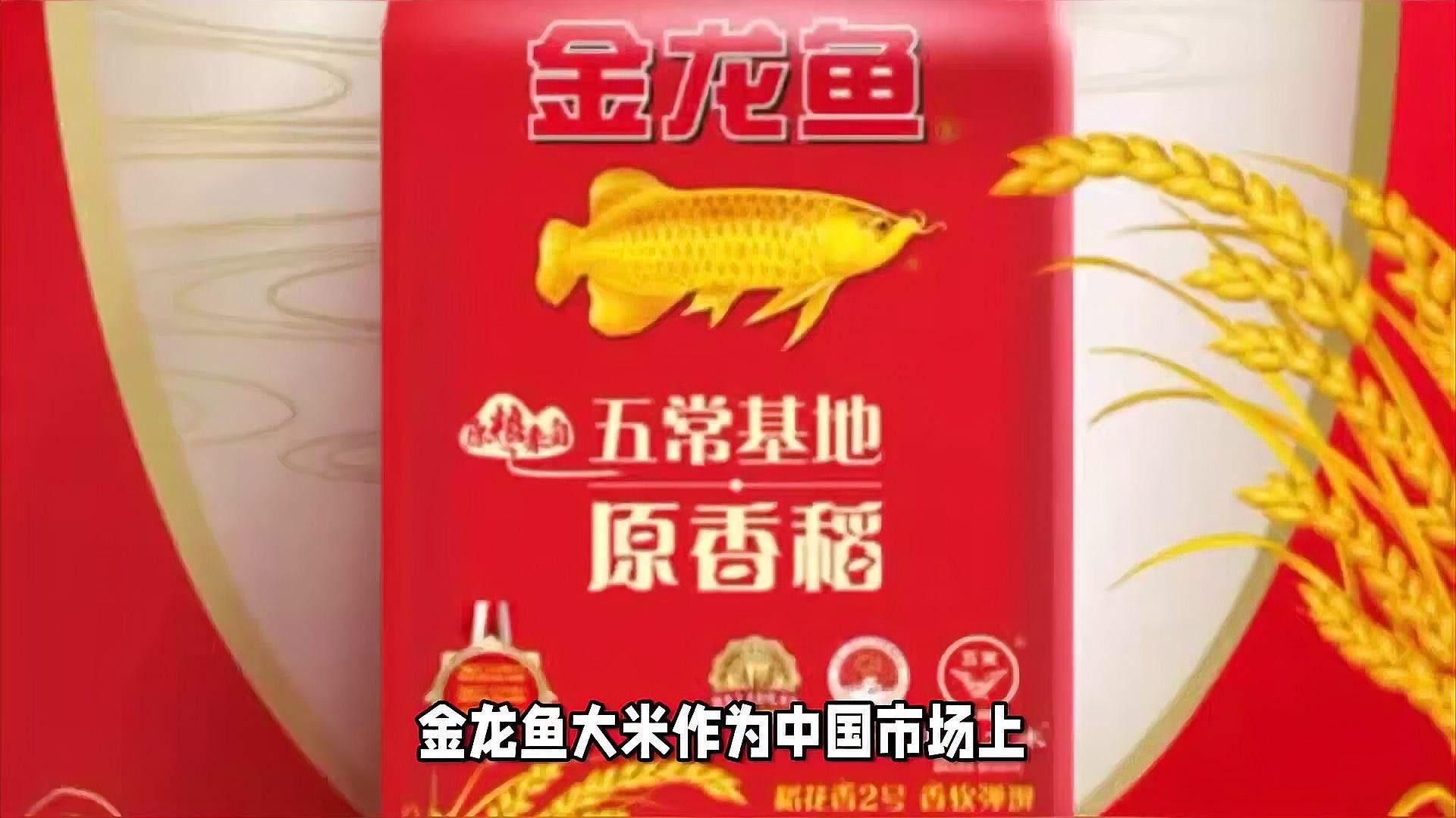 金龍魚(yú)哪產(chǎn)的好吃