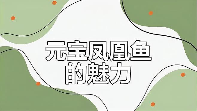 祥龍魚(yú)場(chǎng)觀賞魚(yú)圖片大全高清