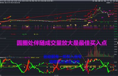 釣龍魚(yú)用什么餌料原神：《原神》游戲中釣假龍或金赤假龍應(yīng)該使用什么魚(yú)餌