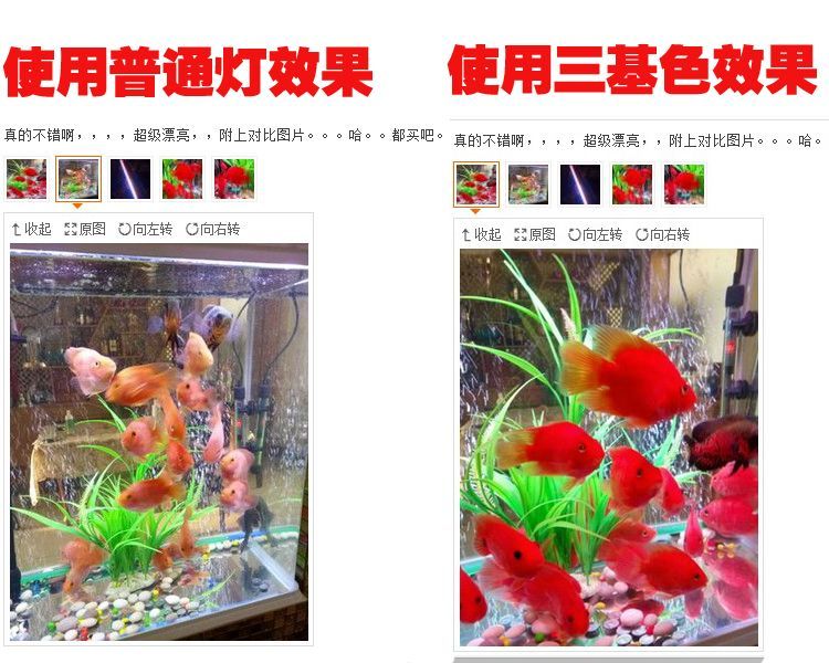 龍魚燈和普通燈有什么區(qū)別圖片及價格：龍魚燈與普通燈具的區(qū)別