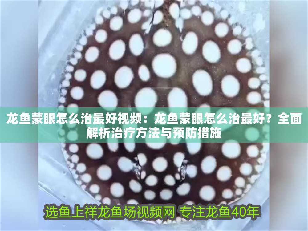 龍魚蒙眼怎么治最好視頻：龍魚蒙眼怎么治最好？全面解析治療方法與預防措施 龍魚蒙眼怎么治最好視頻：龍魚蒙眼怎么治最好？全面解析治療方法與預防措施 龍魚百科 第1張