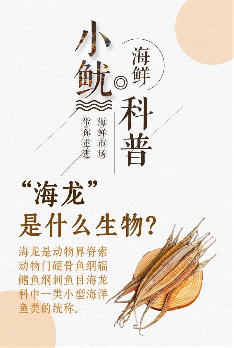 海龍魚的照片圖片
