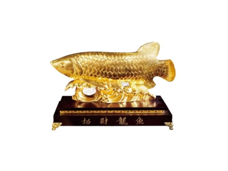 黃金招財龍魚百度百科