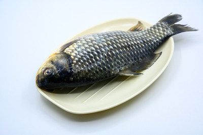 深海黑龍魚屬于海水魚還是淡水魚哪（“深海黑龍魚”屬于海水魚還是淡水魚的確切信息）
