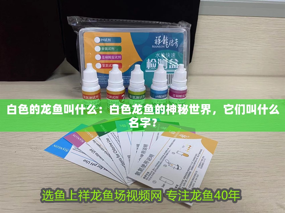 白色的龍魚叫什么：白色龍魚的神秘世界，它們叫什么名字？