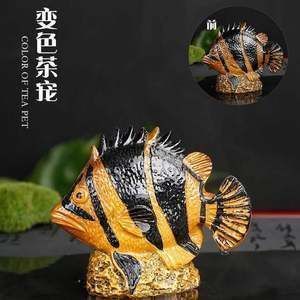 金龍魚變色的階段有哪些：金龍魚發(fā)色的幾個關(guān)鍵階段