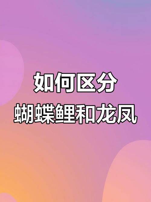 龍鳳鯉和蝴蝶鯉圖片對(duì)比