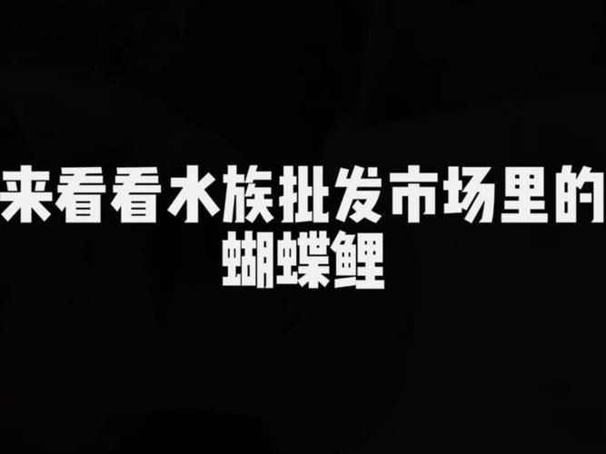 龍鳳鯉和蝴蝶鯉圖片對(duì)比