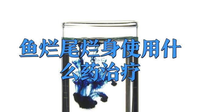 有哪些藥物可以有效治療龍魚爛尾？