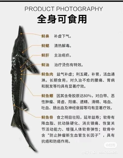 鱘龍魚多少錢一個斤重