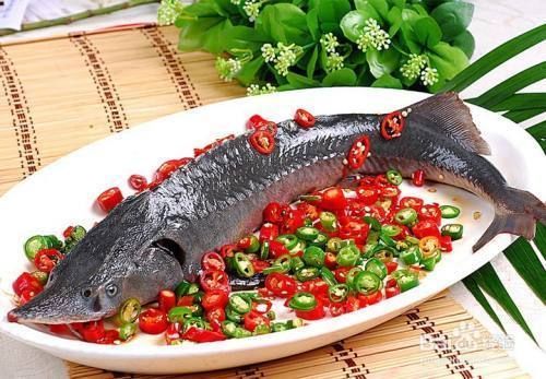 龍魚關刀魚：龍魚和關刀魚混養注意事項龍魚混養注意事項