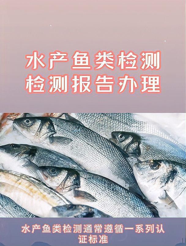 紅龍魚2233有檢測報(bào)告嗎？
