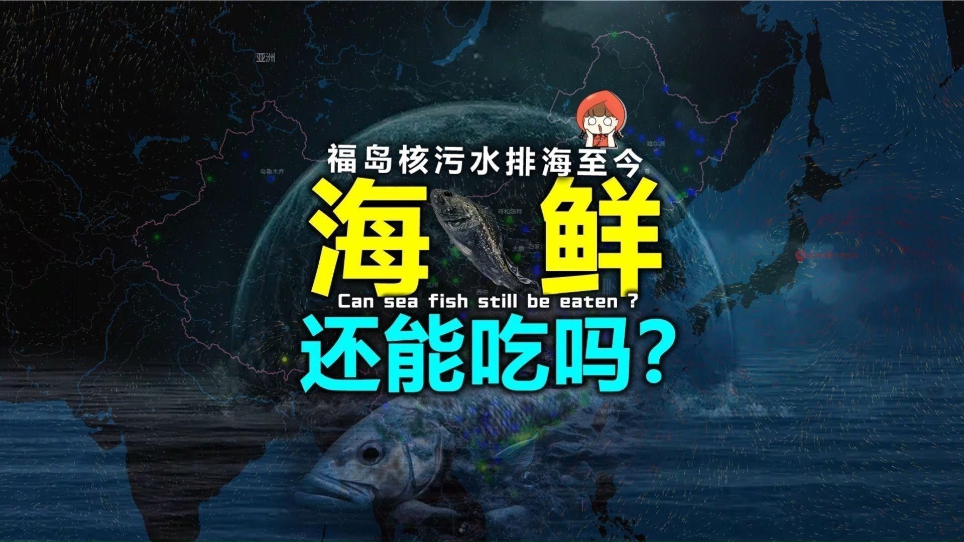 紅龍魚2233有檢測報(bào)告嗎？