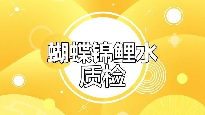 紅龍魚2233有檢測報(bào)告嗎？