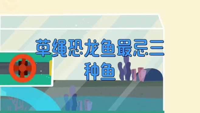 肺魚恐龍魚混養