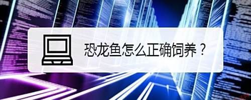 肺魚恐龍魚混養