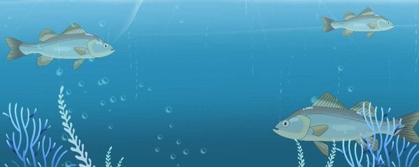 龍魚多長時間換水：關于龍魚的換水周期
