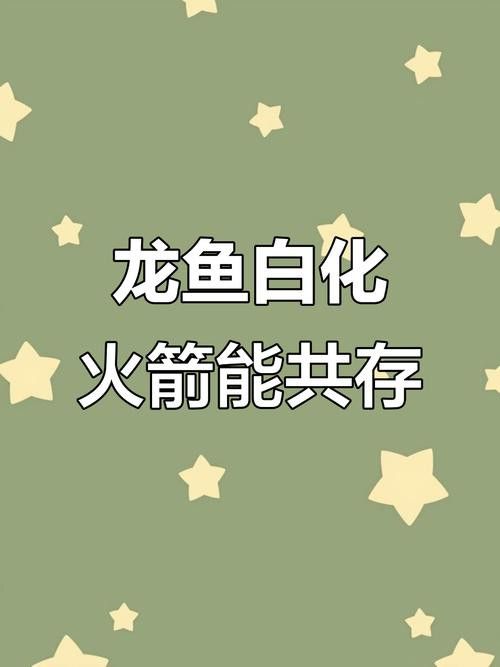 火箭魚可以和龍魚混養嗎圖片