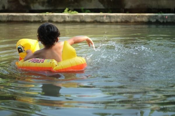 幼魚階段黃金貓魚飼料選擇：黃金貓魚幼魚飼料品牌推薦