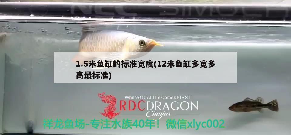 1.5米魚缸的標準寬度(12米魚缸多寬多高最標準)