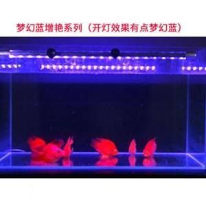 紅龍魚一直在缸底不動是為什么：紅龍魚長時間待在魚缸底部不游動可能由多種因素引起