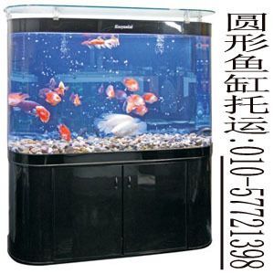 龍魚郵寄安全嗎：佳快遞公司郵寄龍魚的注意事項