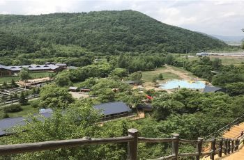 清龍魚業(yè)：吉林省和龍市頭道鎮(zhèn)青龍村青龍漁業(yè)