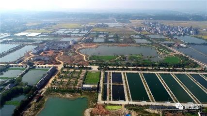 清龍魚業(yè)：吉林省和龍市頭道鎮(zhèn)青龍村青龍漁業(yè)