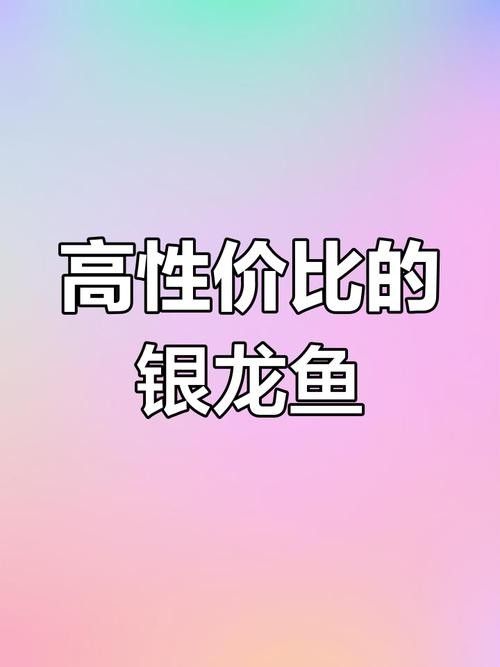 魟魚可以和銀龍魚混養嗎圖片欣賞