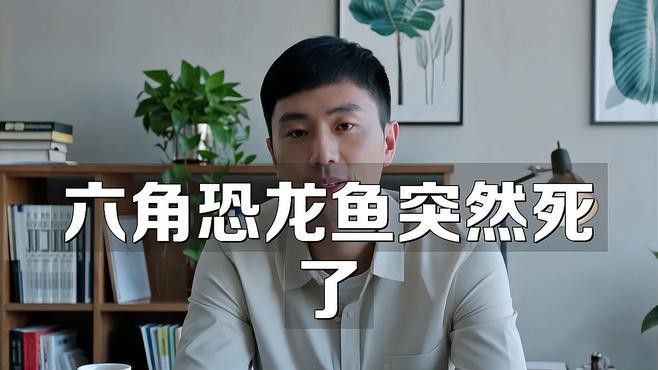 恐龍魚為什么會死
