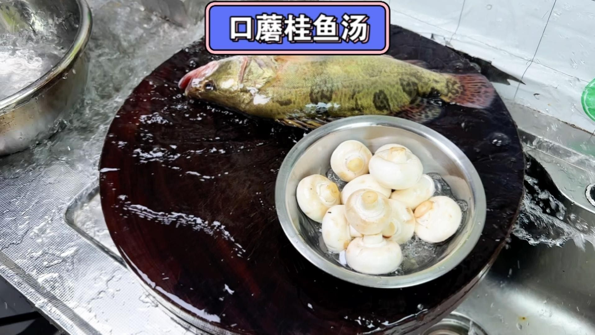 龍魚豆腐湯中蘑菇的種類