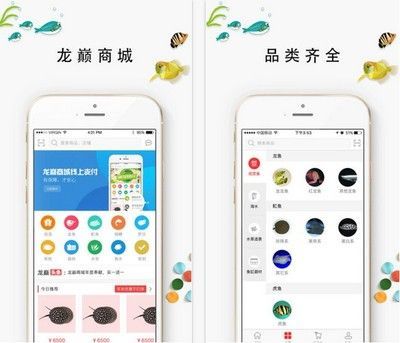 龍魚商城屬于國家打擊范圍嗎（國家市場監督管理總局強調龍魚商城不屬于國家打擊的對象）