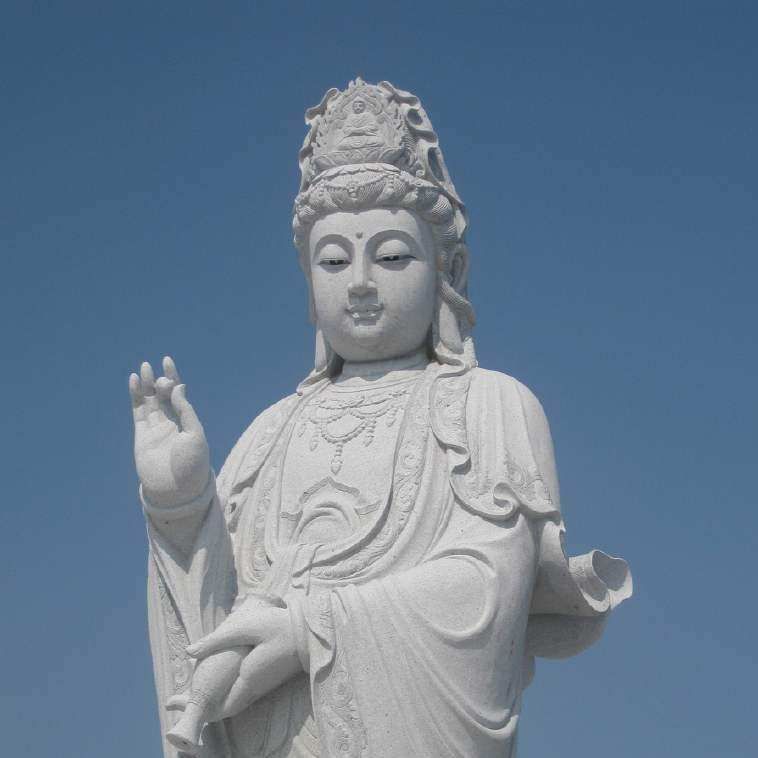 龍頭魚擺件圖片大全