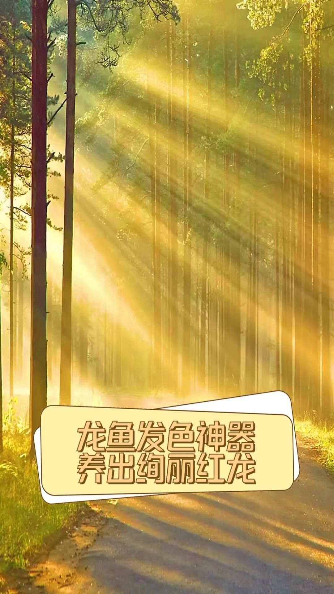紅龍專用照明設備一般價格是多少 紅龍專用照明設備一般價格是多少 龍魚百科 第4張