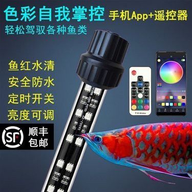 紅龍專用照明設備一般價格是多少 紅龍專用照明設備一般價格是多少 龍魚百科 第5張