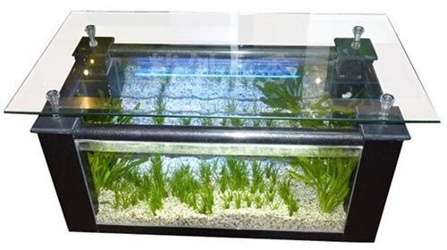 匯龍魚缸出廠日期怎么看圖解【如何識別匯龍魚缸的生產日期】