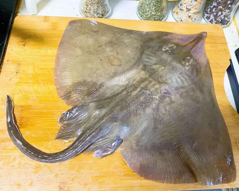 樂清鰩魚圖片