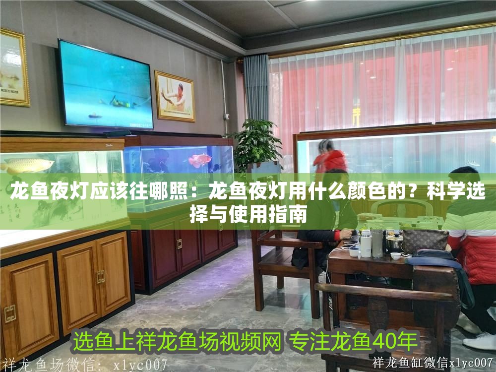 龍魚夜燈應(yīng)該往哪照：龍魚夜燈用什么顏色的？科學(xué)選擇與使用指南